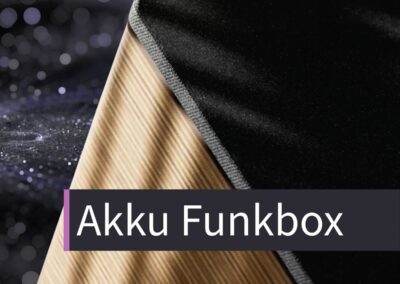 SOWA 12 AKKU Funkbox