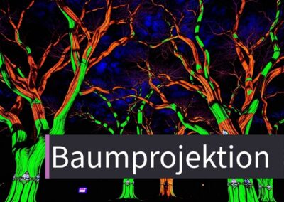 Baumprojektion